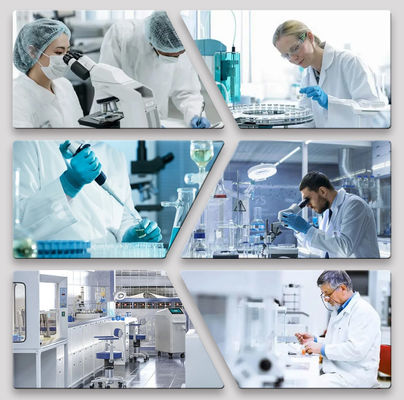 15 ans d'expérience dans le domaine de la peinture automobile