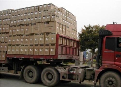 Pistolet pulvérisateur portable et facile à utiliser avec une buse délicate