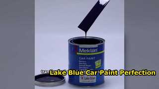 Réparation et finition de peinture de voiture Lake Blue