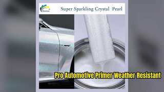Premium Automotive Primer Weather Resistant Coating